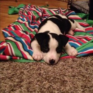 Meet your Posher, Deanna